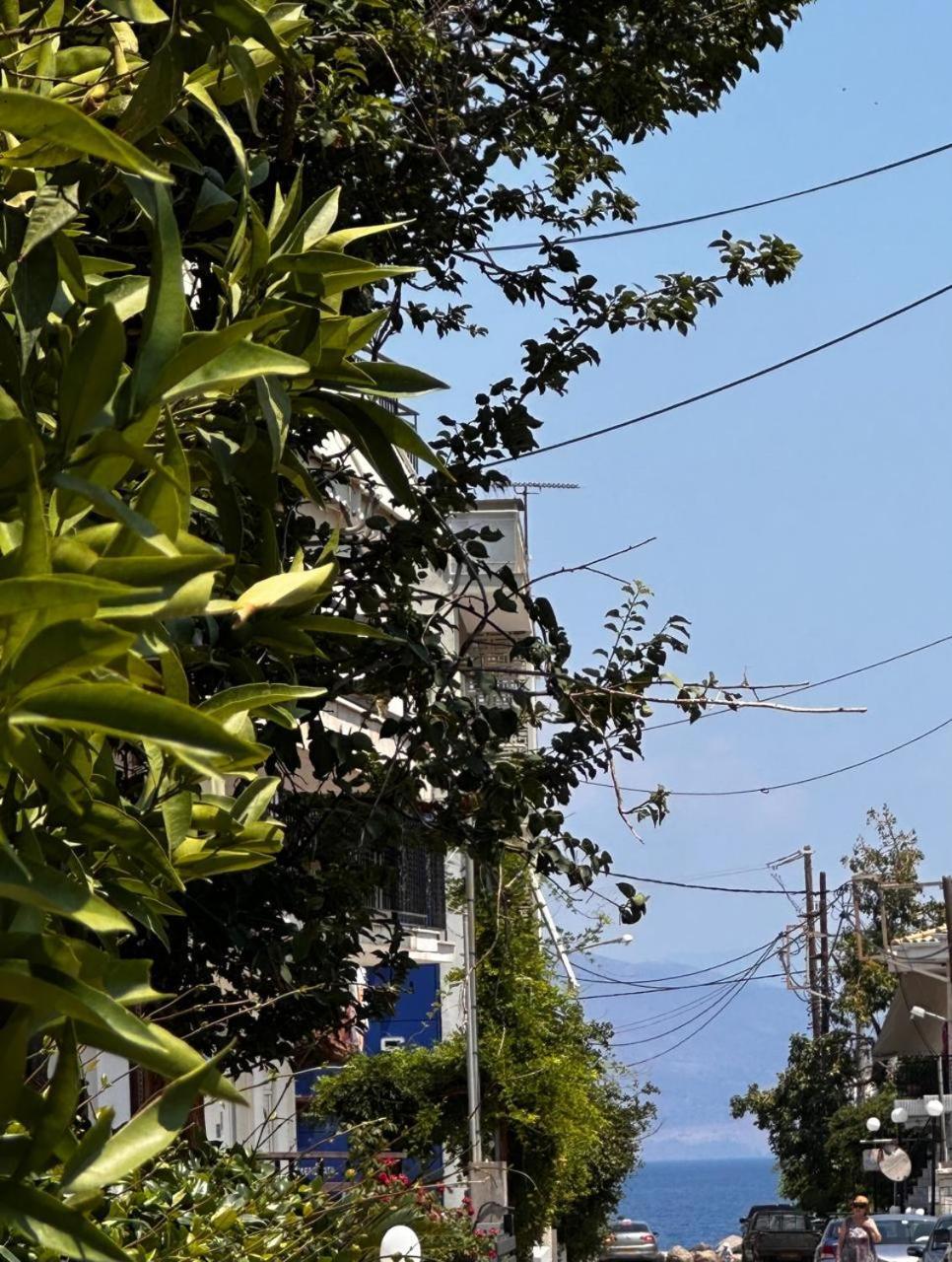 Sotiris Mandarin House Apartman Diakoptó Kültér fotó